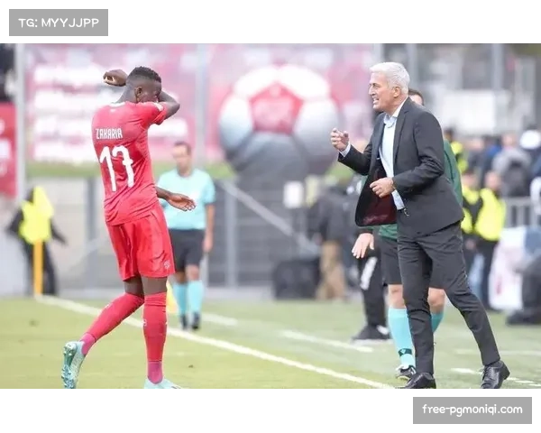 阿尔及利亚马赫雷斯核心作用凸显 佩特科维奇需解决攻守平衡